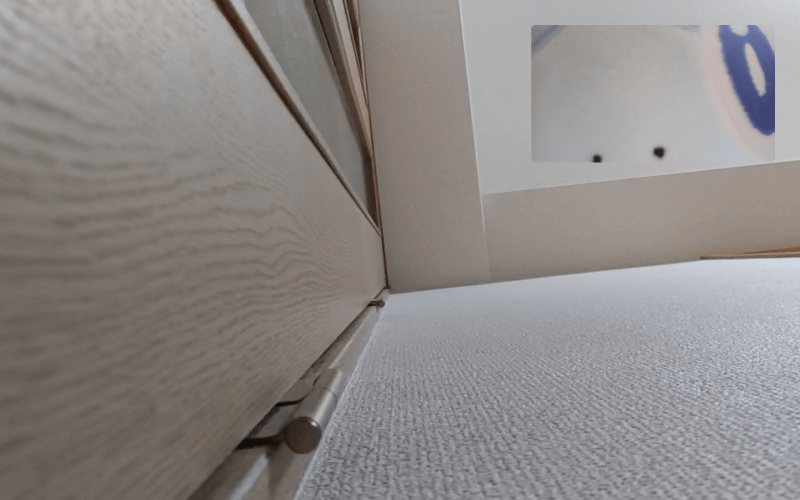 しばらく経つと自分の映像が表示される