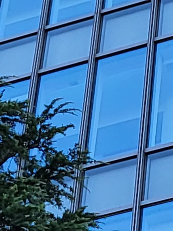 最大倍率（10倍）