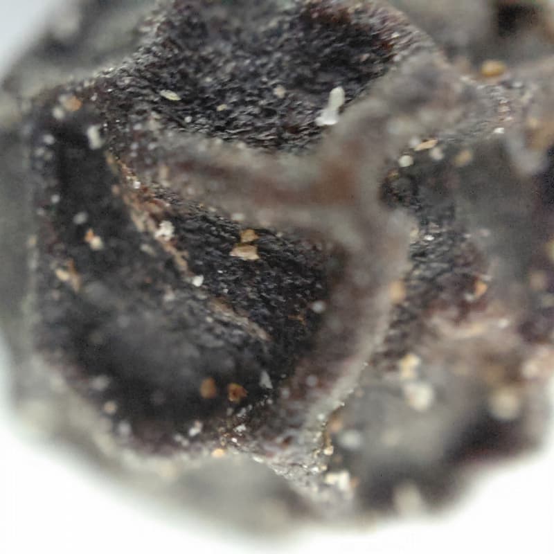 ガリガリと挽くタイプの黒胡椒の粒を撮影