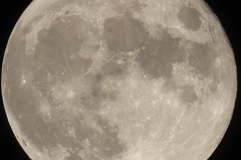 ドットバイドットにしたもの。