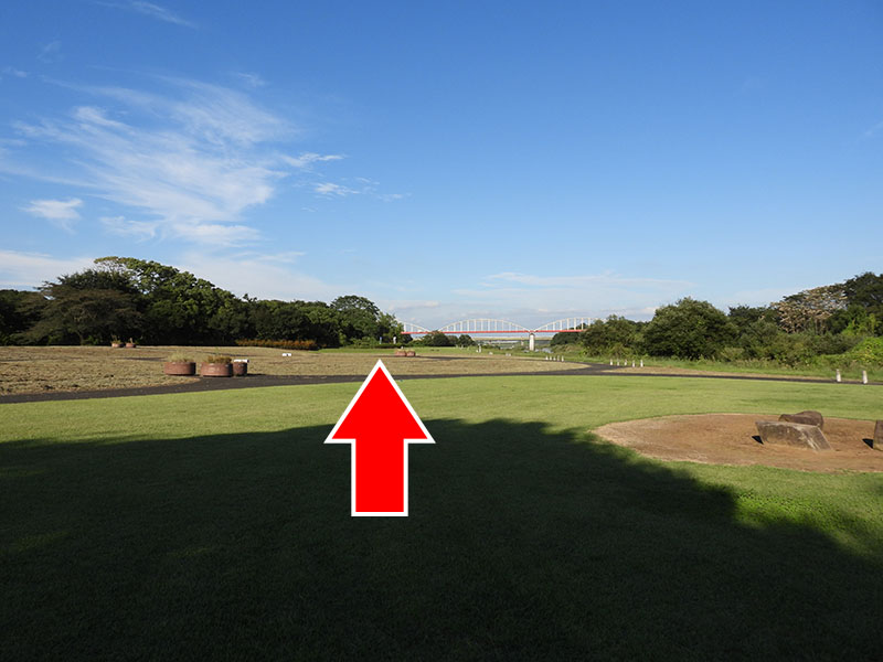 今度は遠くに見える林のあたりをズームアップ。肉眼では立て札のようなものが見えるような……。