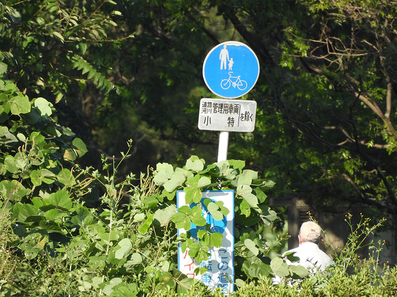 2000mm相当。どういう交通標識かがハッキリ見えた。あっ横に人が！