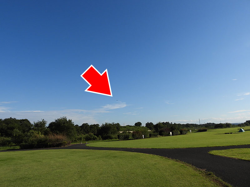 撮り歩いていたら上空にヘリが！