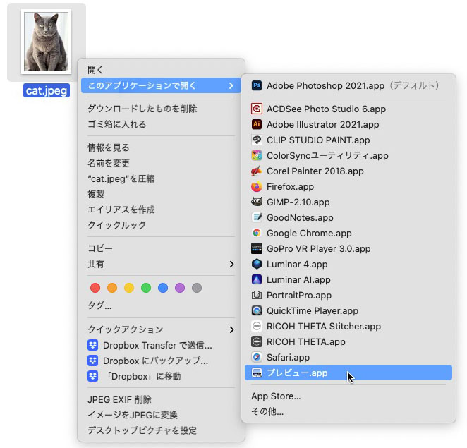 まずアイコンにしたい写真やイラストなどのグラフィックを用意する。この画像を開いてコピーするが、ここではmacOS標準「プレビュー」アプリを使っている。