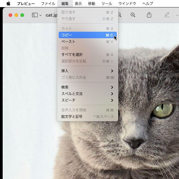 プレビューアプリで画像を開いてコピーするだけ。もちろんcommand＋Ｃでもいい。