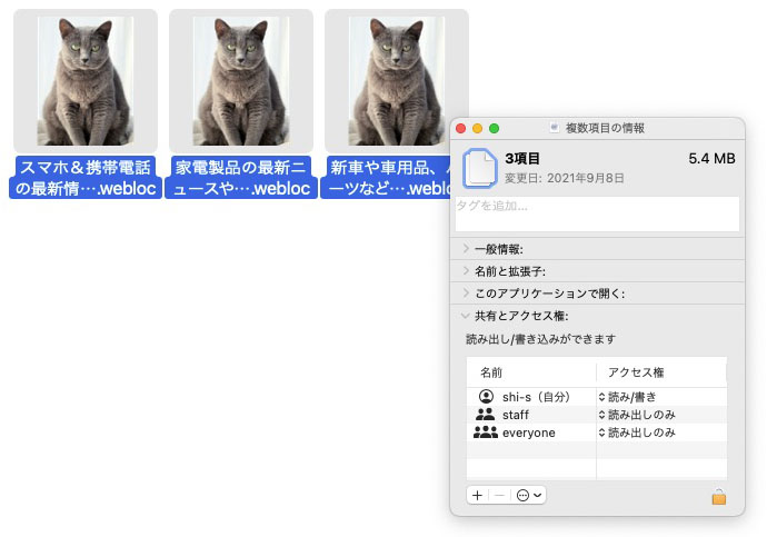 複数のファイルのアイコン・グラフィックを一気に変更できた。同様の手順で画像をdeleteもしくはカットすれば、複数のファイルのアイコン・グラフィックをもとに戻すことができる。