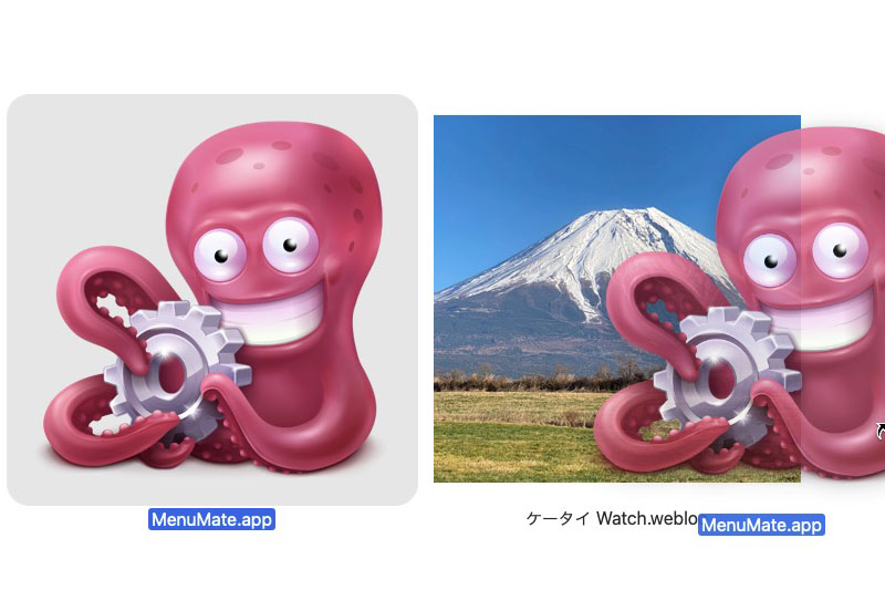 タコの顔や足のカタチに合わせて部分的に透明になっている。