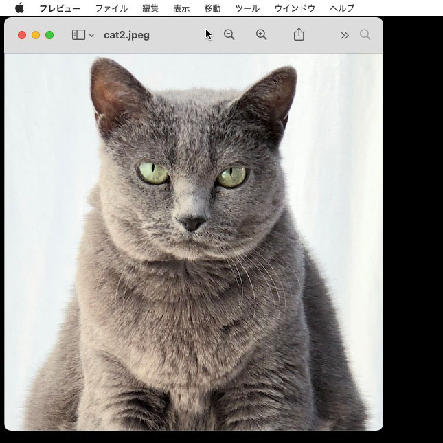 まずアイコンにしたい画像を用意。手順の途中で画像が.png形式に置換されてしまうので、オリジナル画像のコピーを使うのが無難だ。背景が同色で同程度の明るさで、アイコンになる画像部分と明瞭な差があると「背景の透明化」をしやすい。画像はmacOS標準「プレビュー」アプリで開く
