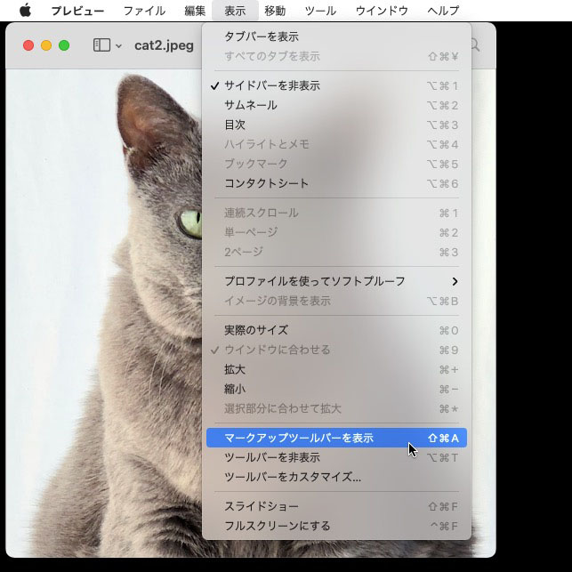 メニューから、表示＞マークアップツールバーを表示を選択。