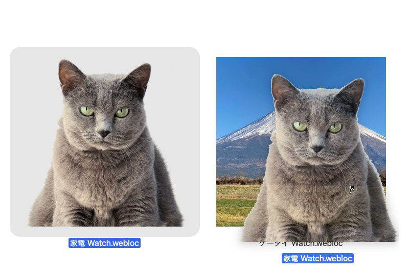 左は背景を透明化した画像を適用したアイコン。右はそのアイコンをほかのアイコンに重ねた様子。猫の背景が透明化されているのがわかる。