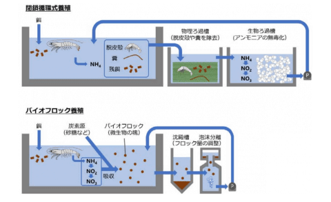 ドコモら4社 バナメイエビ養殖を最適化する実証実験を開始 ケータイ Watch