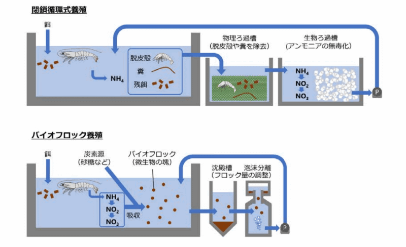 養殖方法の模式図