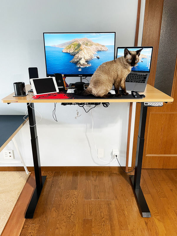 ご家庭に猫がいる場合、スタンディングデスクは段差のついた遊び場と認識される危険もあります。これについて防ぐ手立てはありません