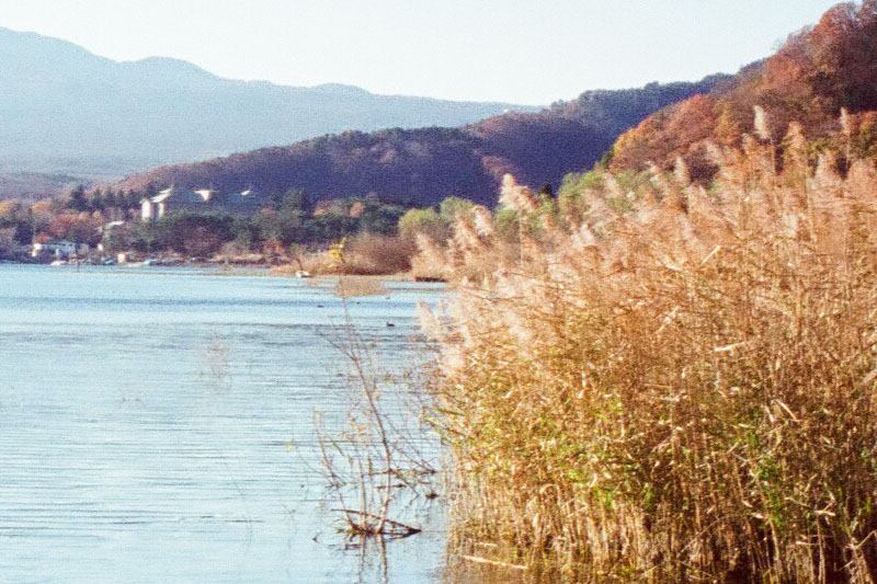 湖畔のドットバイドット。
