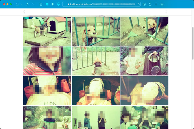 フォルダを開くと個々の写真が現れる。一般的なクラウド写真サービスと似た感覚で使える。