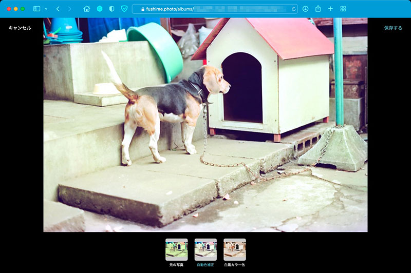 自動色補正後の写真。なかなかイイ!!!