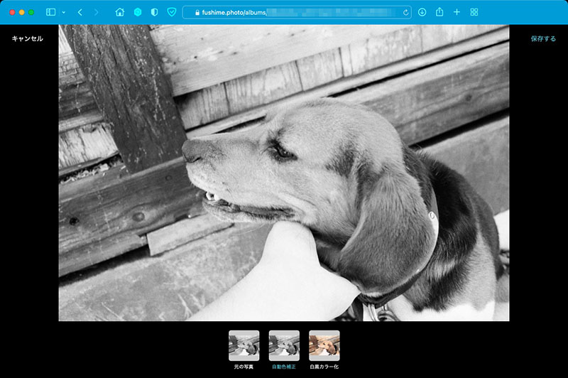 元の写真はモノクロだった。