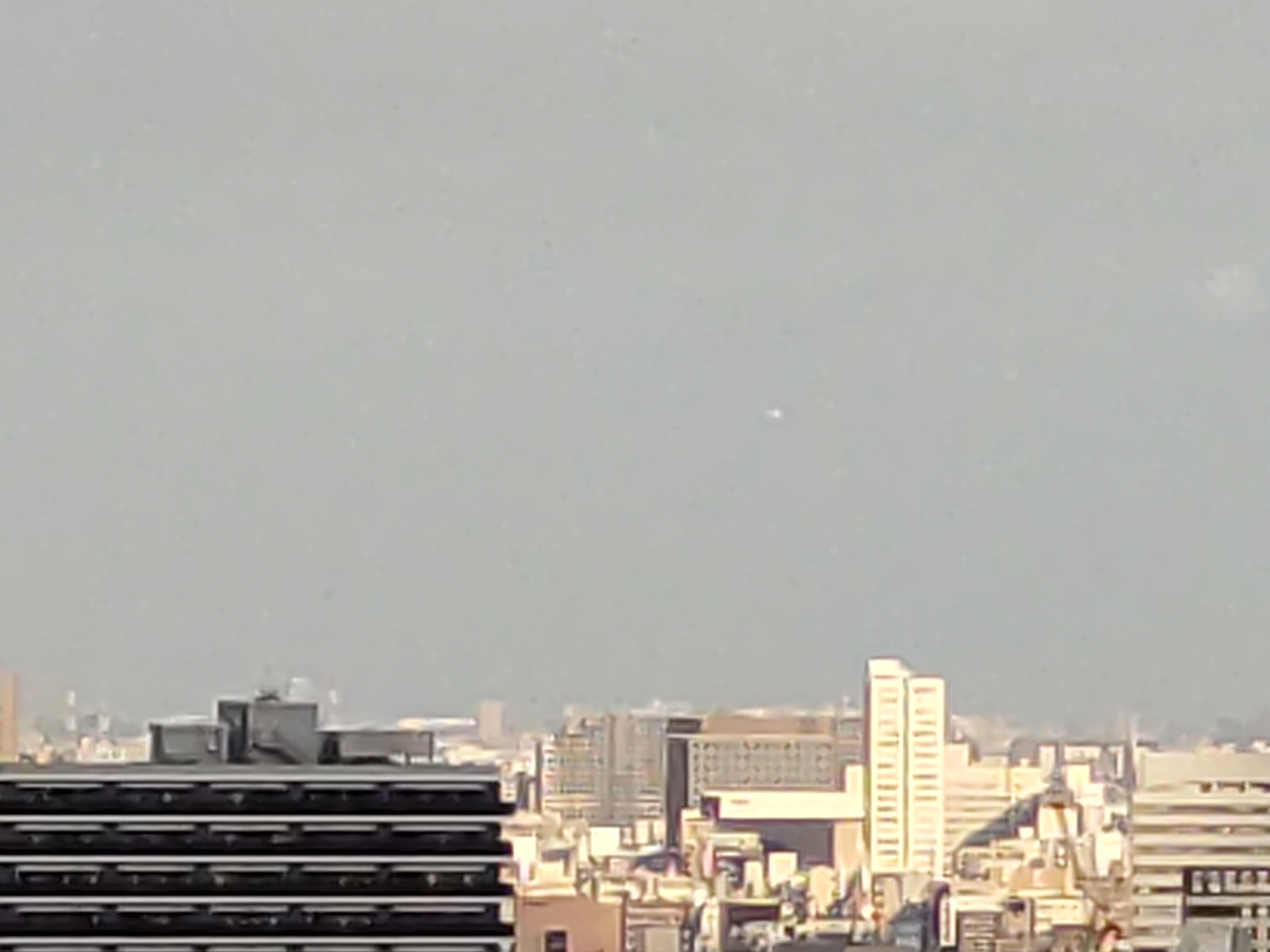 最高倍率（16倍）で撮影