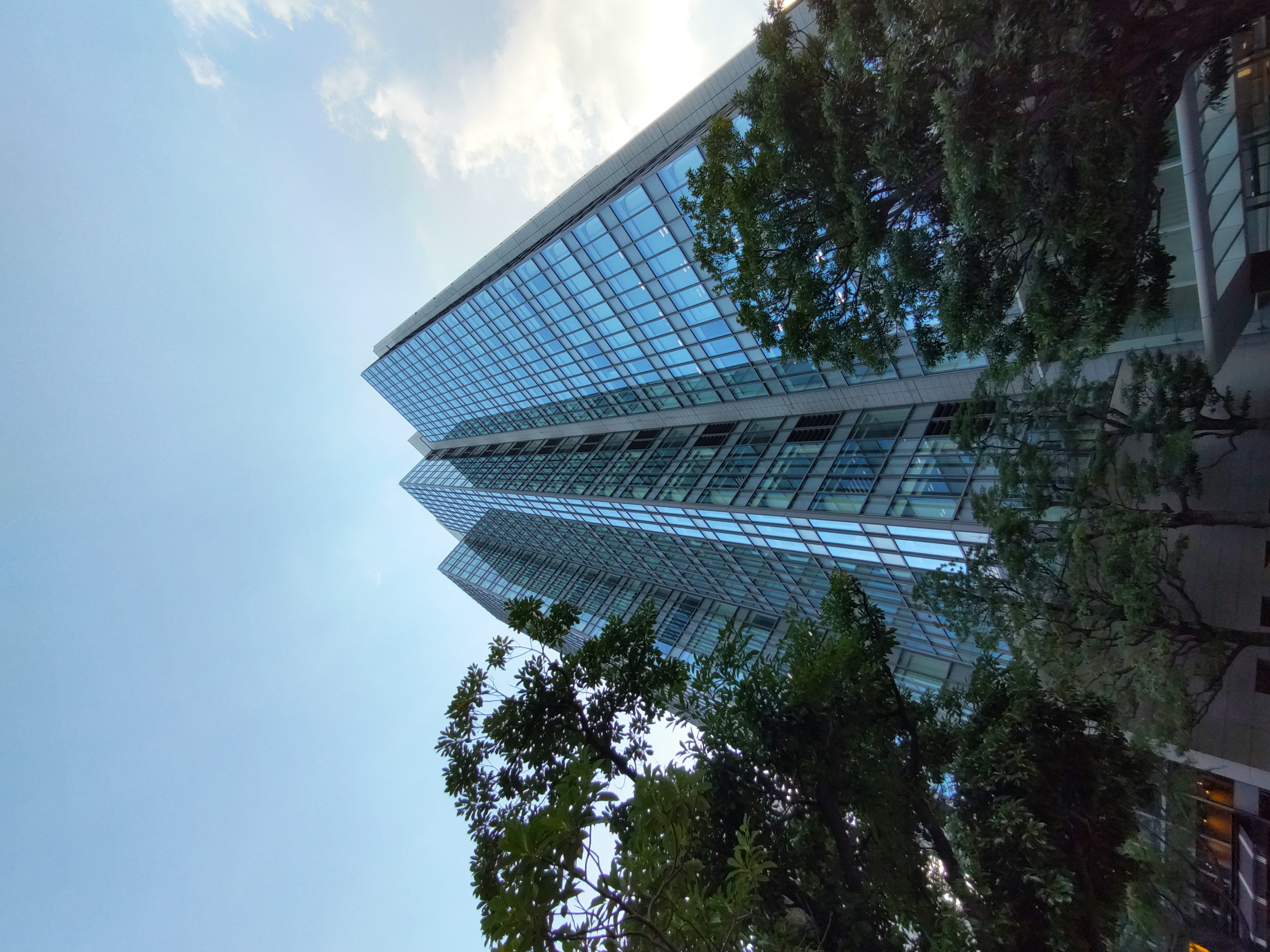 広角カメラ（0.7倍）で撮影