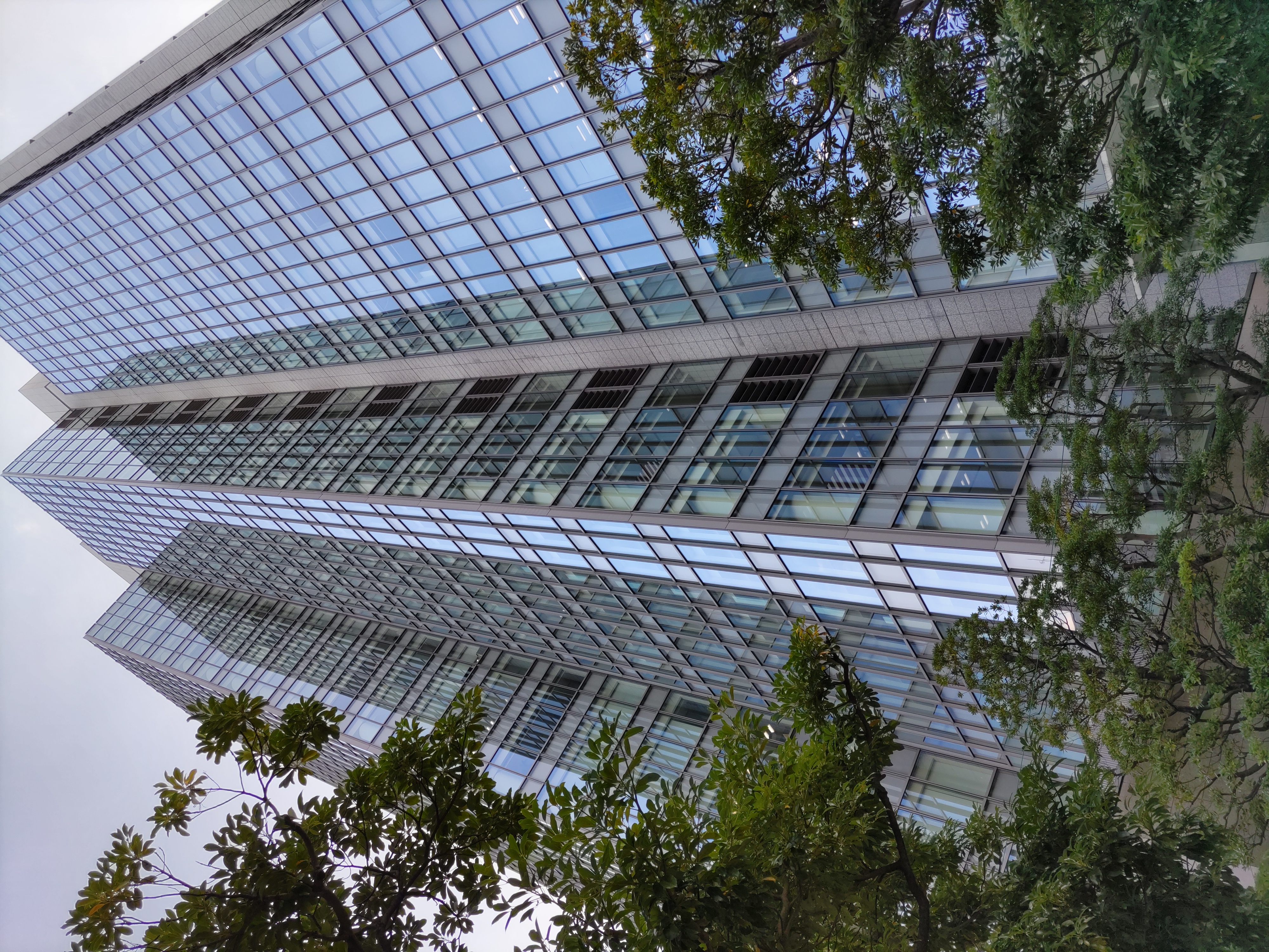 標準カメラ（1倍）で撮影