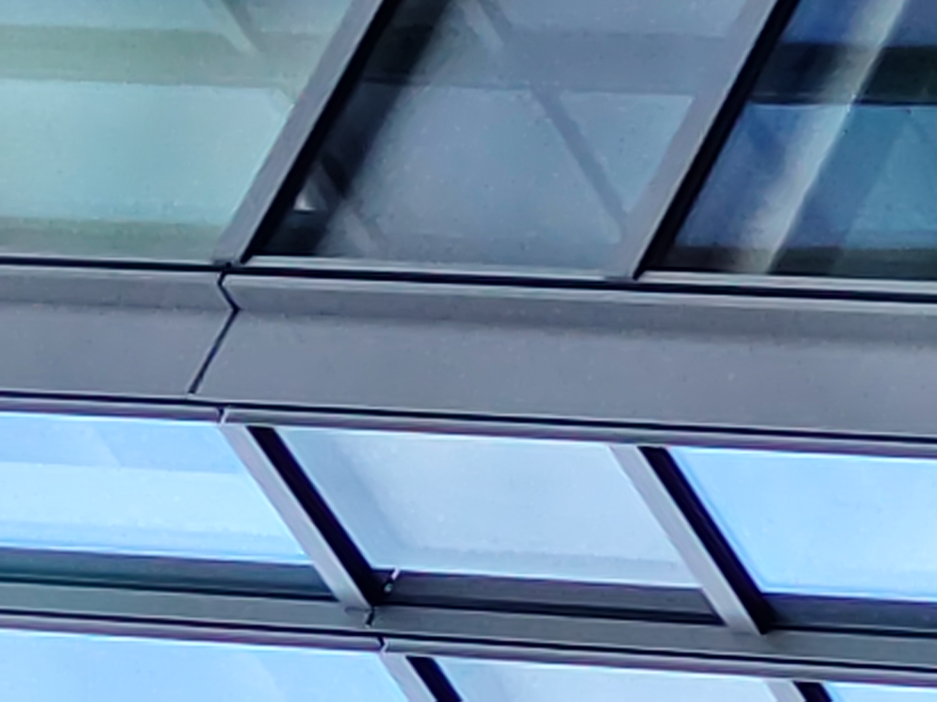 最高倍率（16倍）で撮影