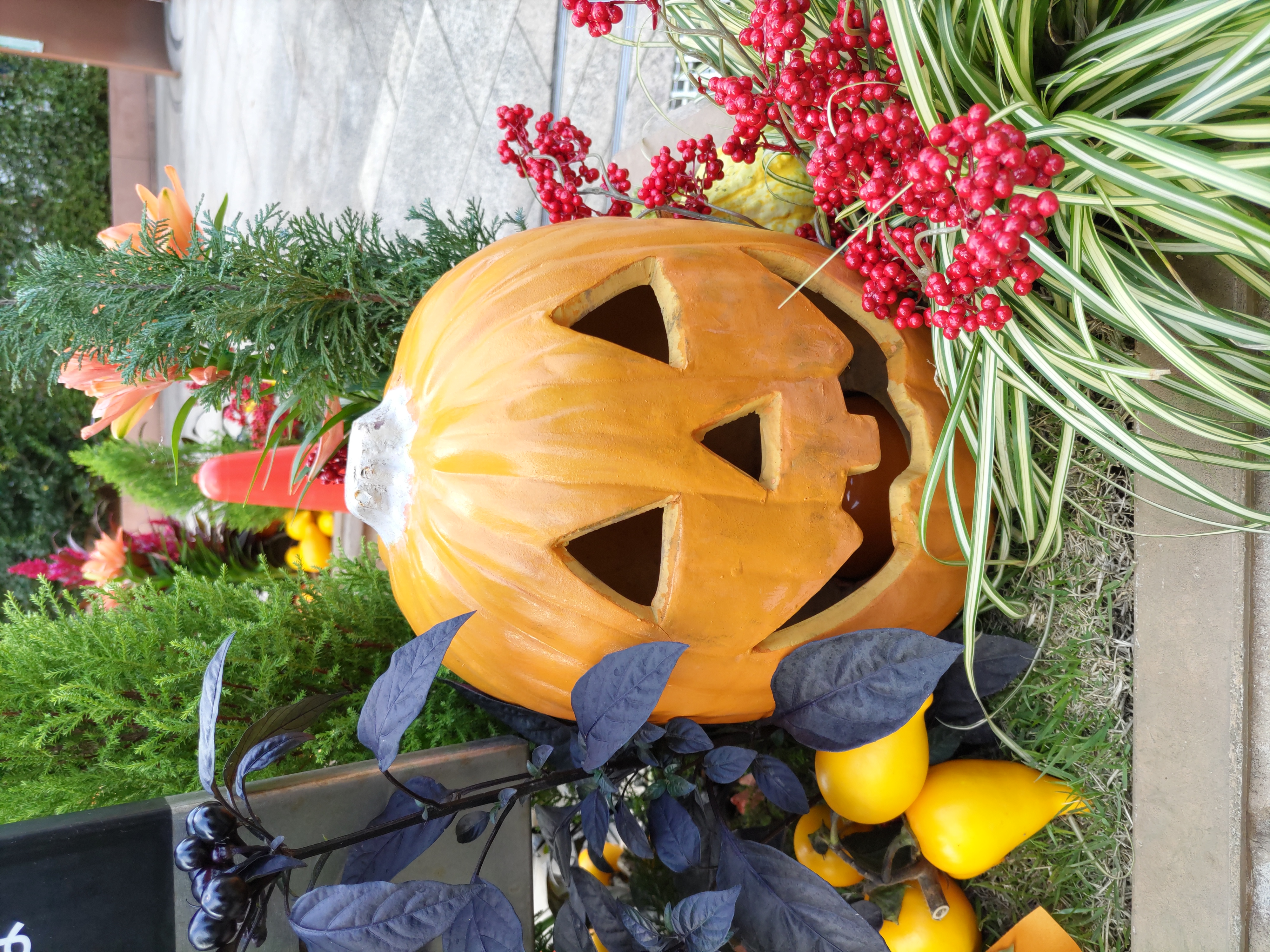 標準モードで撮影