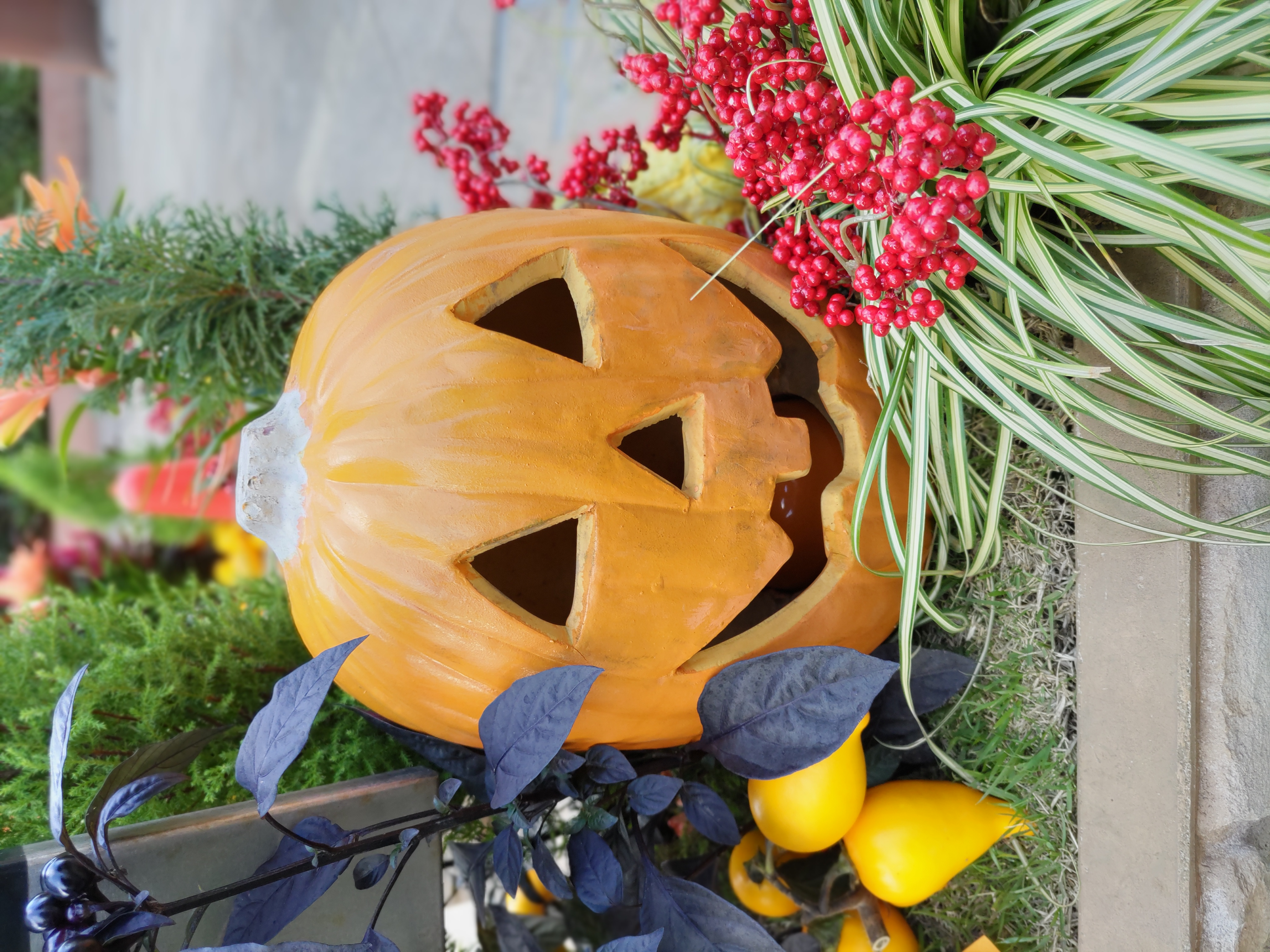 「背景ぼかし」モードで撮影