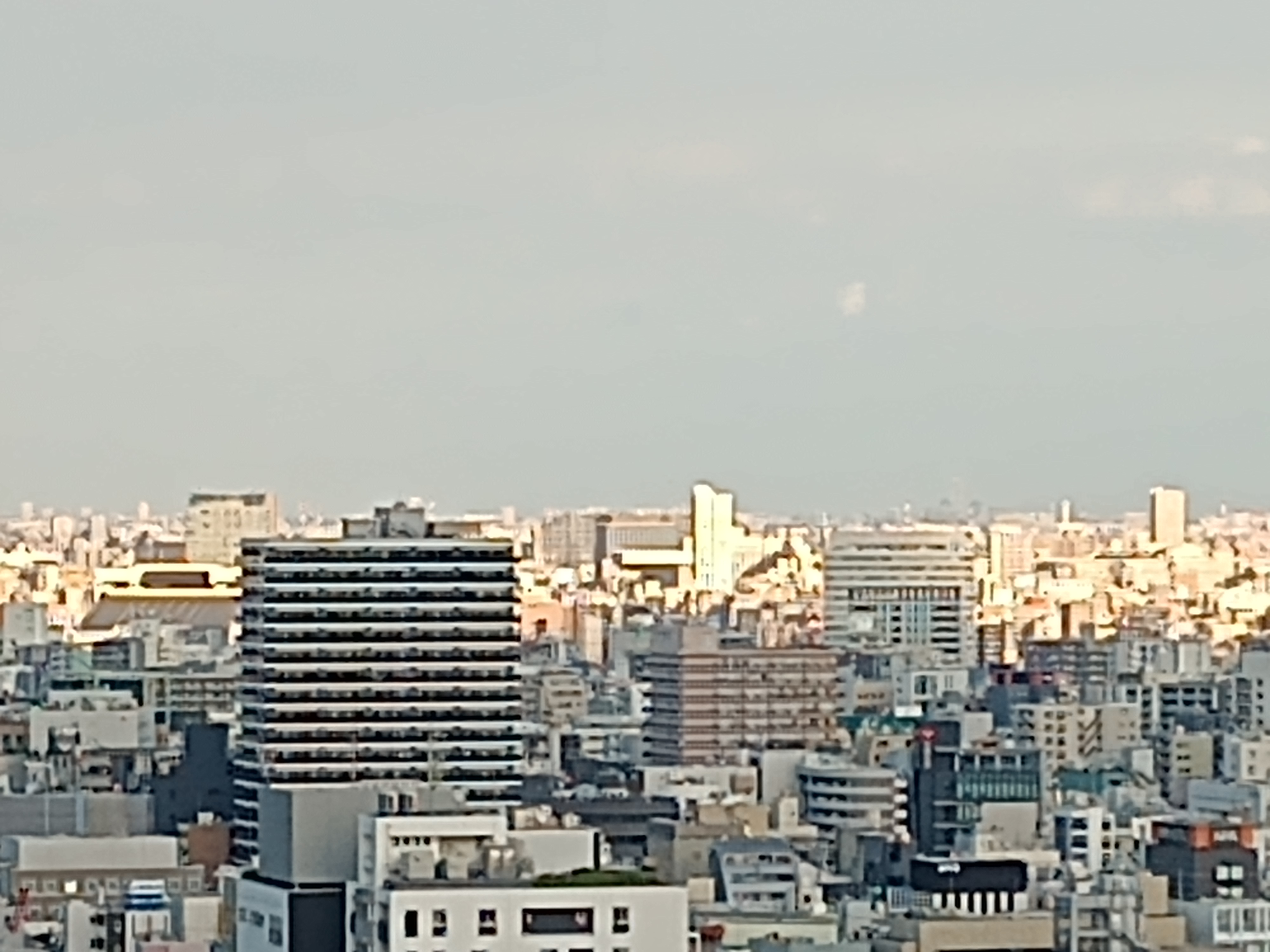 8倍で撮影