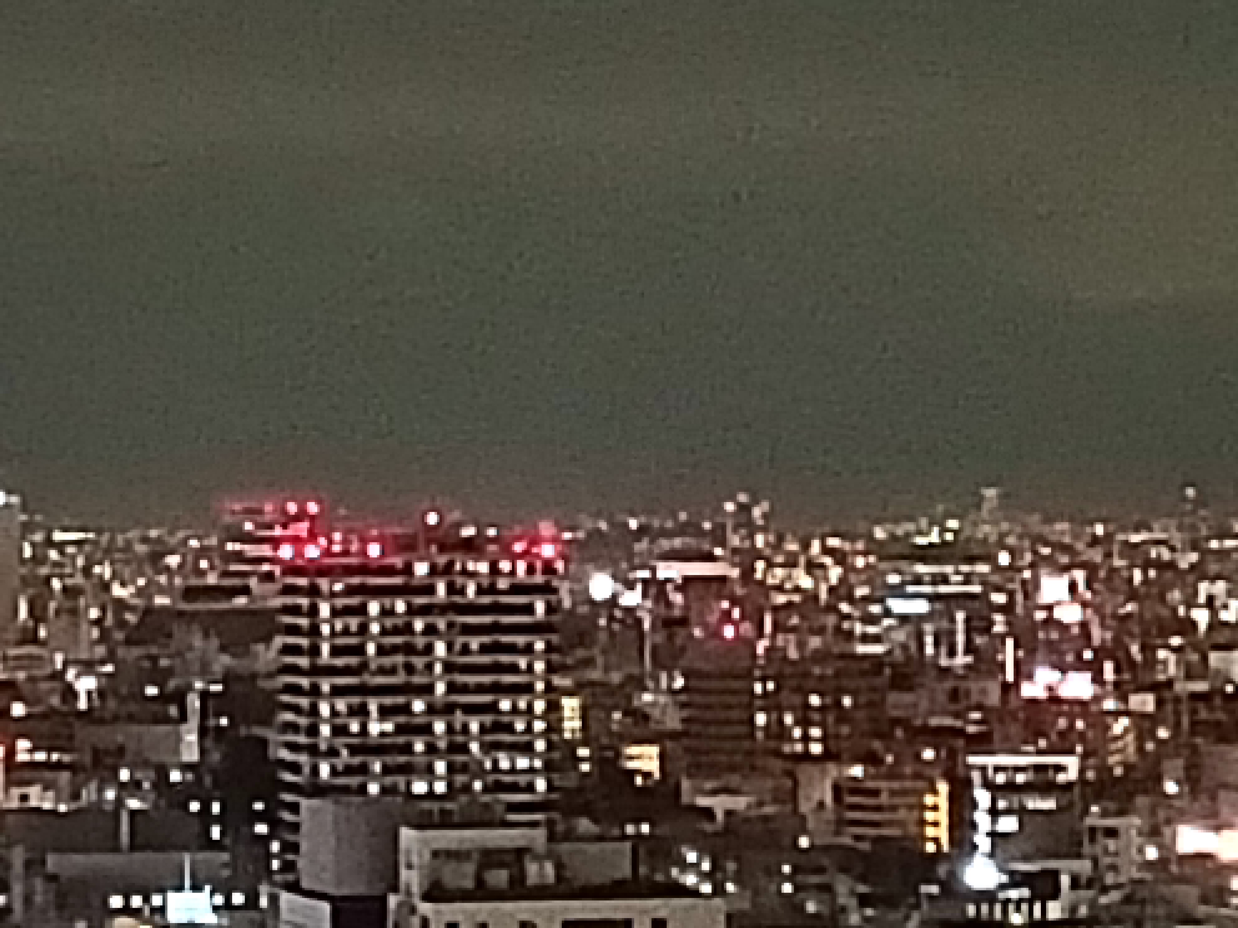 8倍で撮影