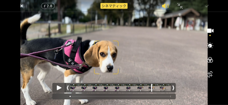 編集でフォーカスを変えたりできるのも非常に便利