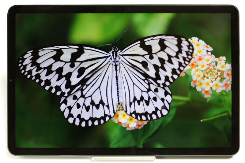 Xiaomi Pad 5で写真を表示し、その画面を撮影したもの。元画像の色味やコントラストが正しく表示されている