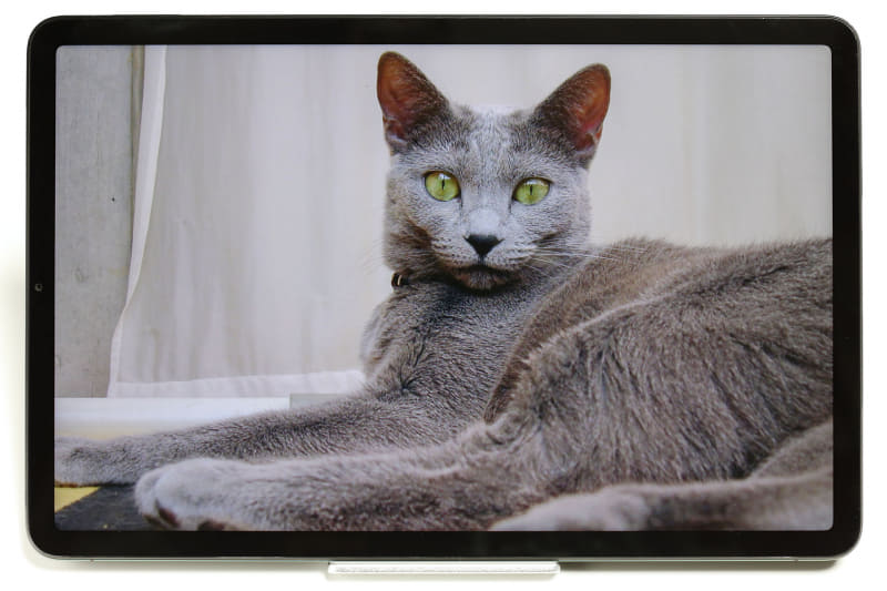 解像度WQHD+（1600×2560ピクセル）の11インチディスプレイなので、精細さとともに写真を楽しめる