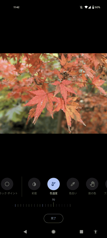 紅葉は右のようにもうちょっと黄色いほうがいいかも。シャッタースピードを変えるような効果は無理そうです
