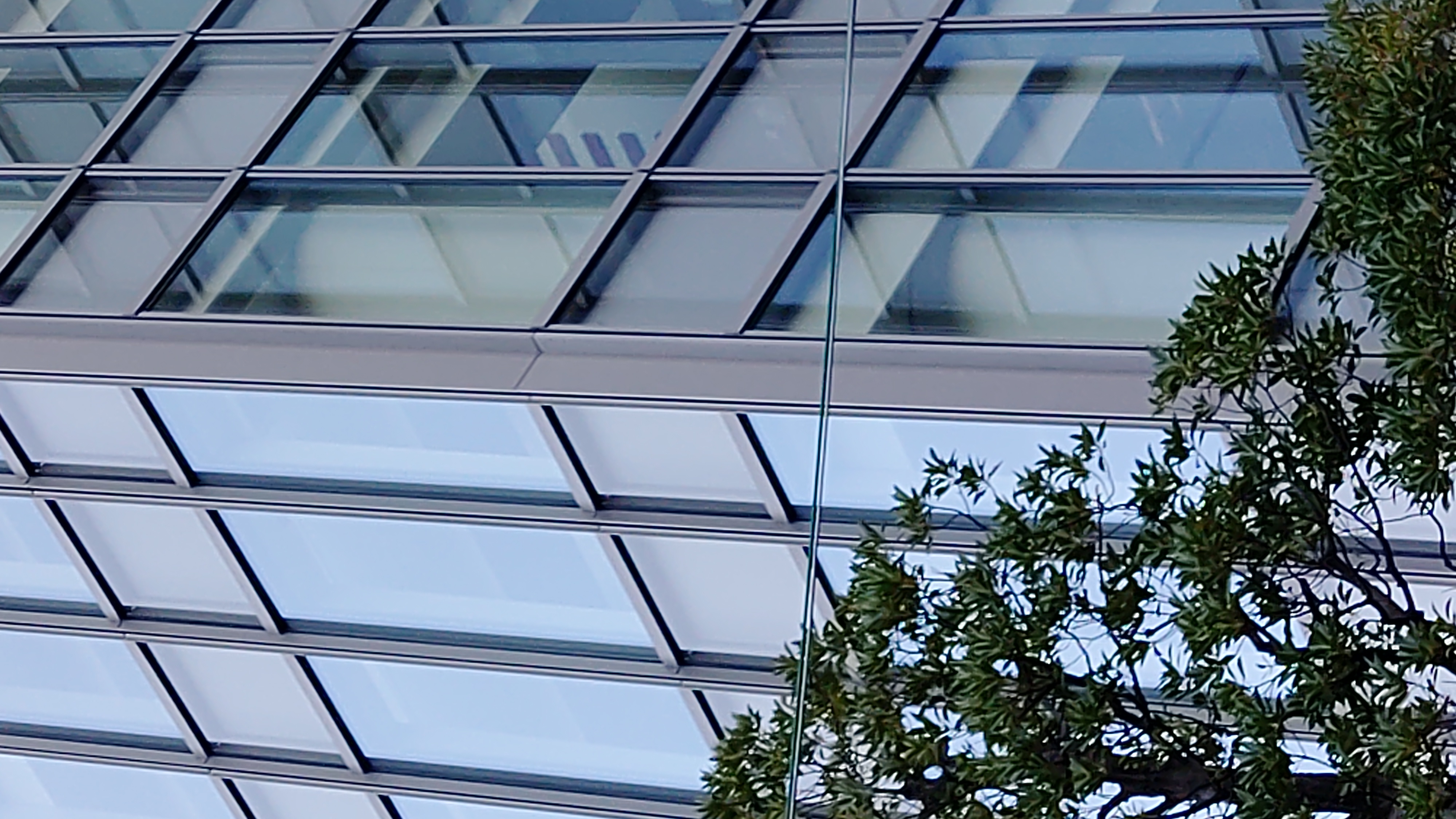 4倍（最高倍率）で撮影