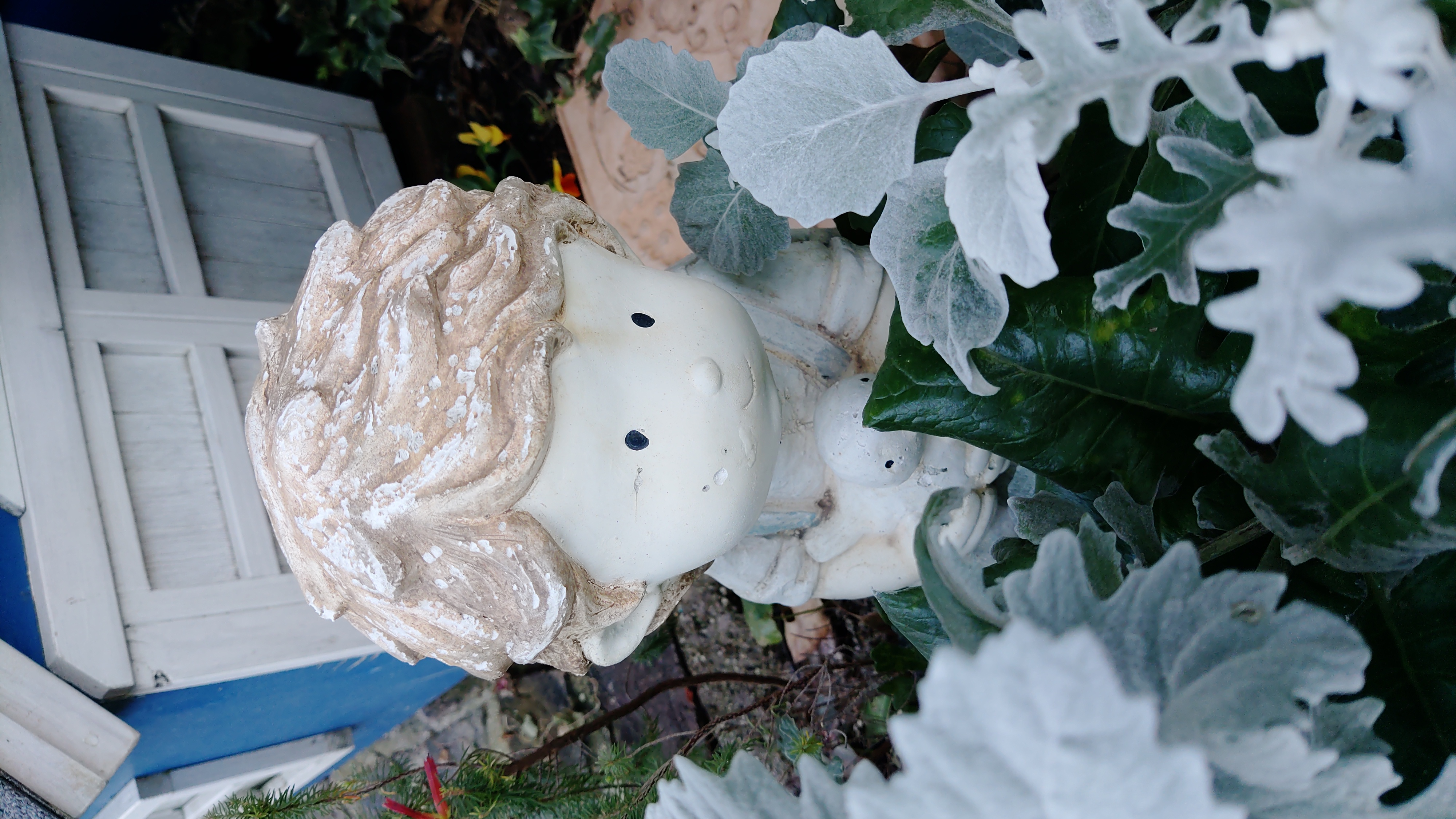 標準モードで撮影