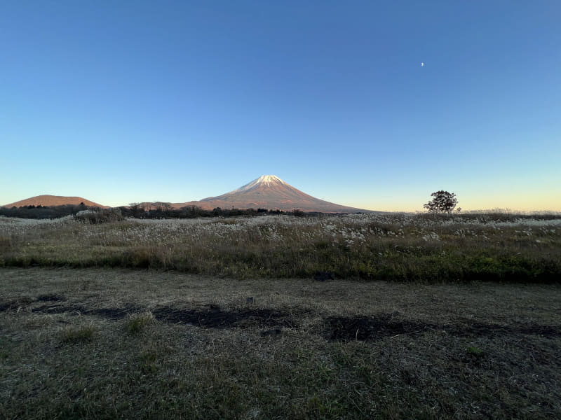 超広角レンズで撮影。ほかの写真もそうだが、露出補正などをするなどして高画質を狙った撮影方法をしているわけではなく、iPhone任せの単なるスナップである。