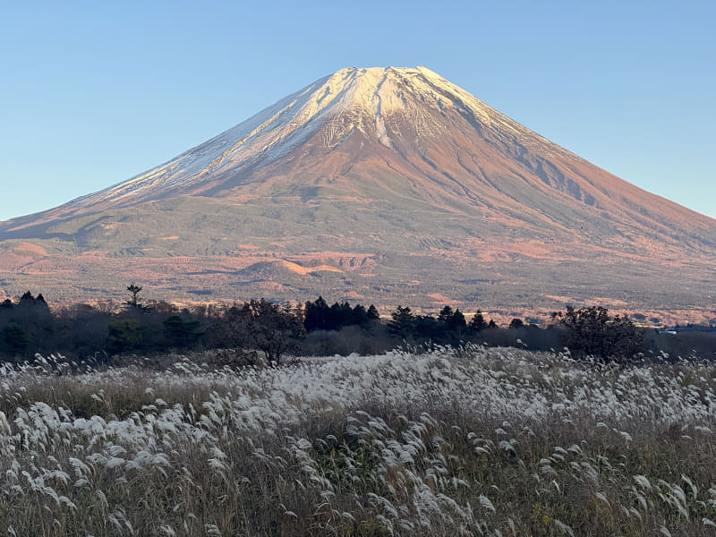 望遠レンズで撮影。被写体や被写体までの距離などにより、明るさや発色などを微妙に変えてくれているような気がする。