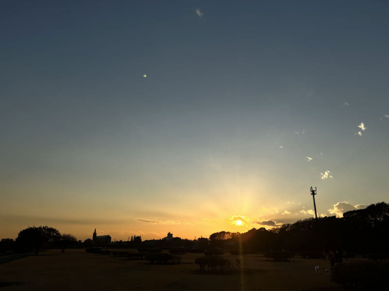 公園で撮った夕焼け。普通のディスプレイで見るとフツーの夕焼けであるが、iPhone 13 Pro Max上で見ると中央の太陽はピカッピカのギラギラに光りつつ立体感を感じさせ、そこから伸びる光条そして光芒が見事なグラデーションを伴って空に伸びて消えてゆき、手前の闇のなかには芝生や低木の存在がしっかり見えたりもする。