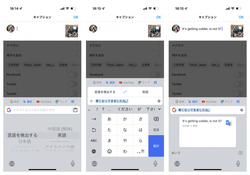 愛犬の写真を世界中の方に見ていただきたくて開設しているInstagram。Gboardに切り替えて、「翻訳」をタップして、言語を設定。日本語を入力して「翻訳」をタップすると、指定した言語に翻訳されて入力される
