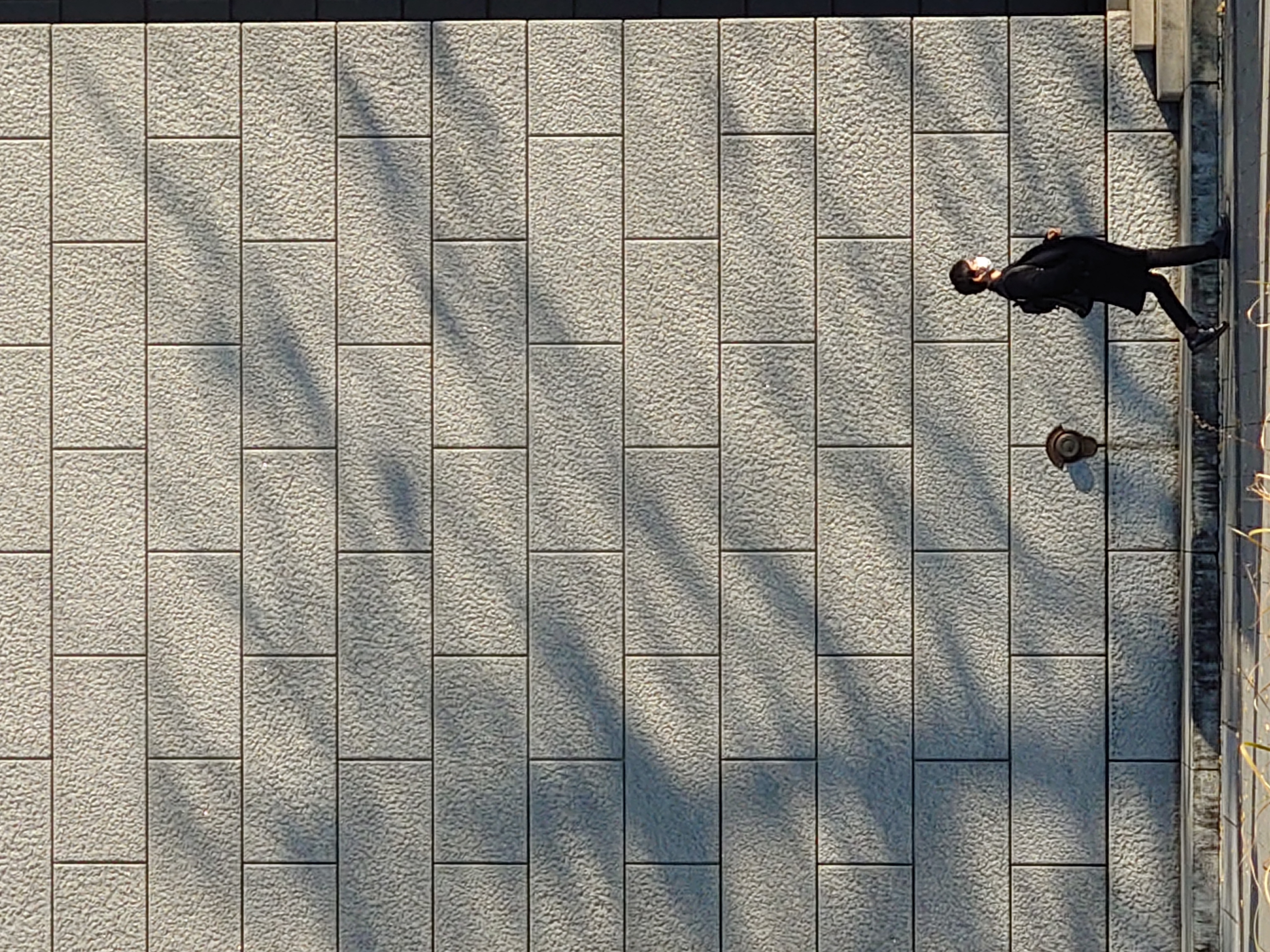 150mm相当にデジタルズームして撮ったカットだが悪くない。SNSやウェブでの小さなカット利用なら使える画質ではないだろうか。