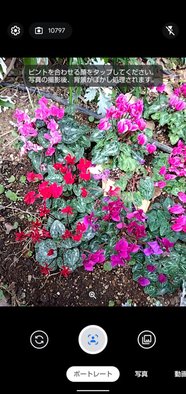 「ポートレート」モード