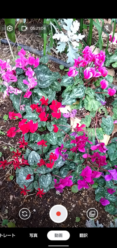 「動画」モード