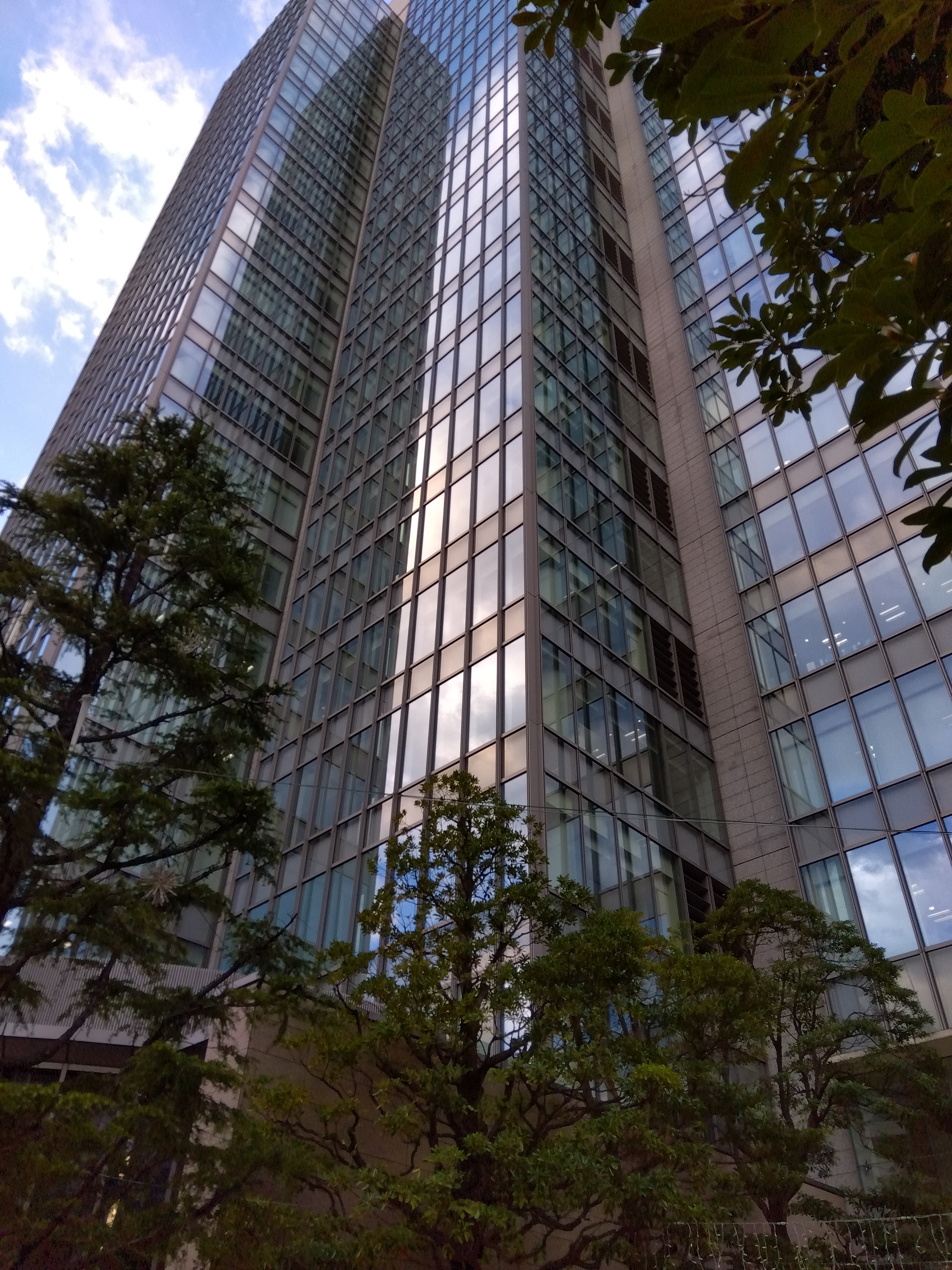 最低倍率で撮影