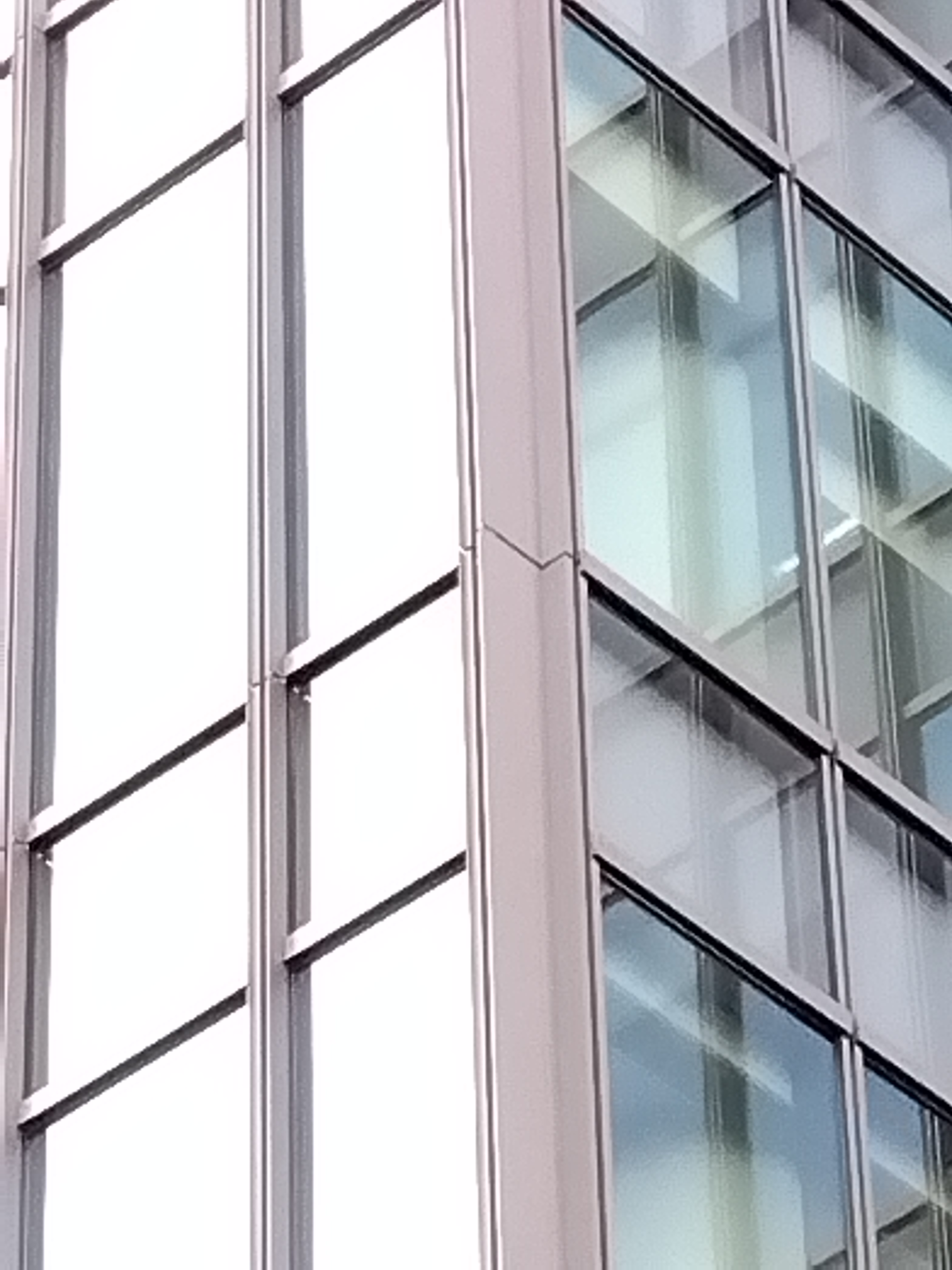 最高倍率で撮影