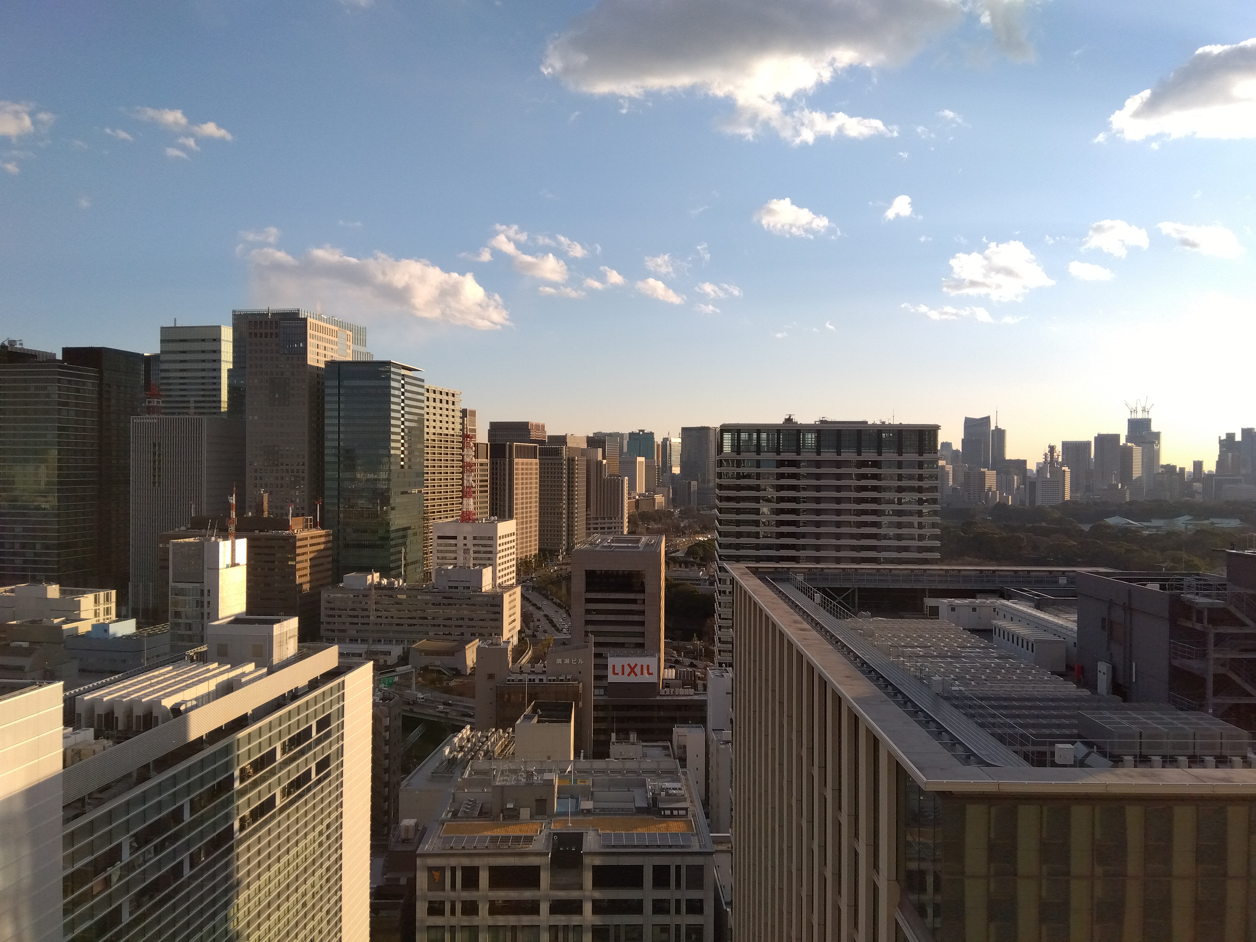 最低倍率で撮影