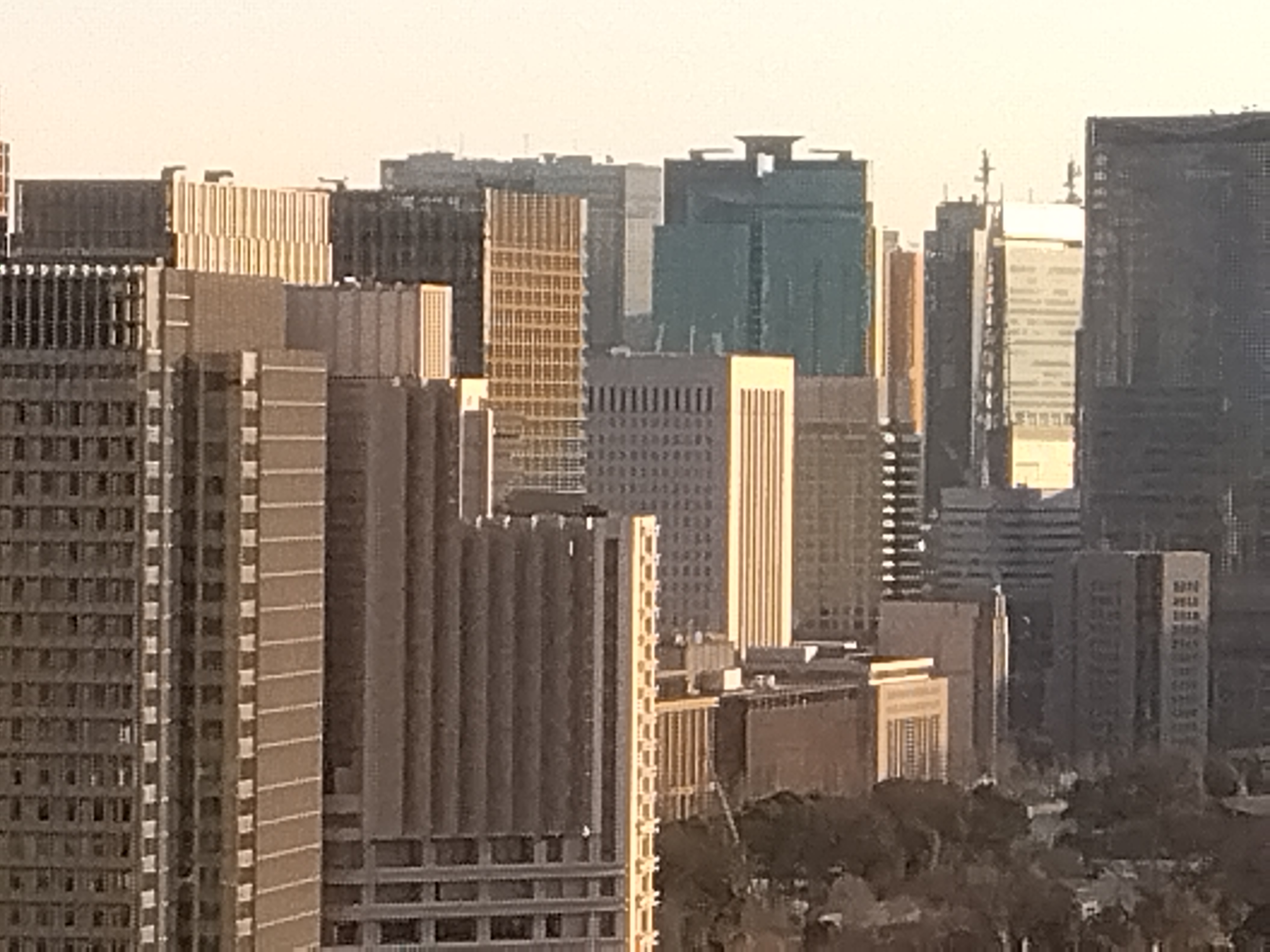 最高倍率で撮影