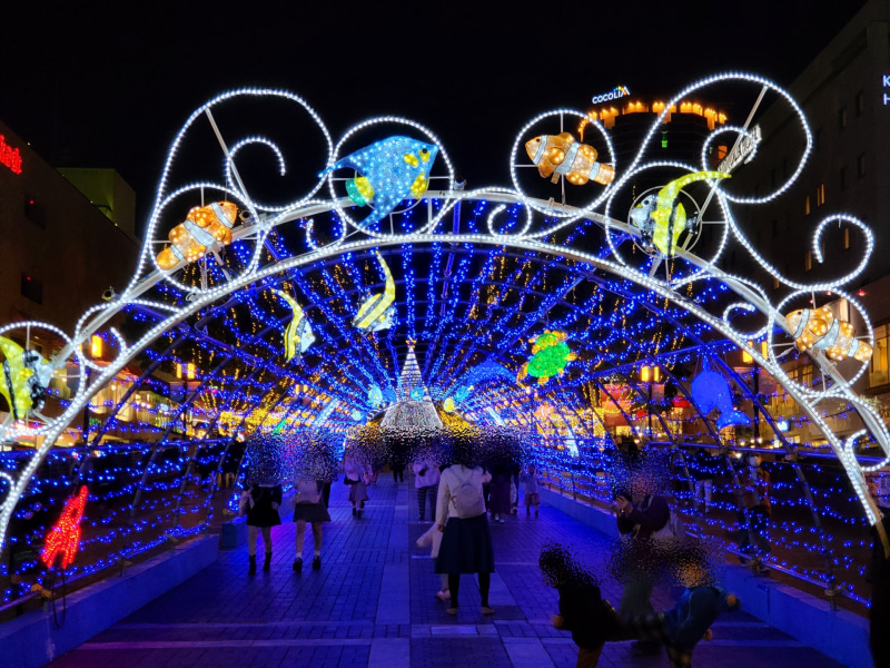 海の中道っぽいつくりのイルミネーション回廊。望遠カメラ使用で、F値2.4、ISO感度320、シャッタースピード1／50秒