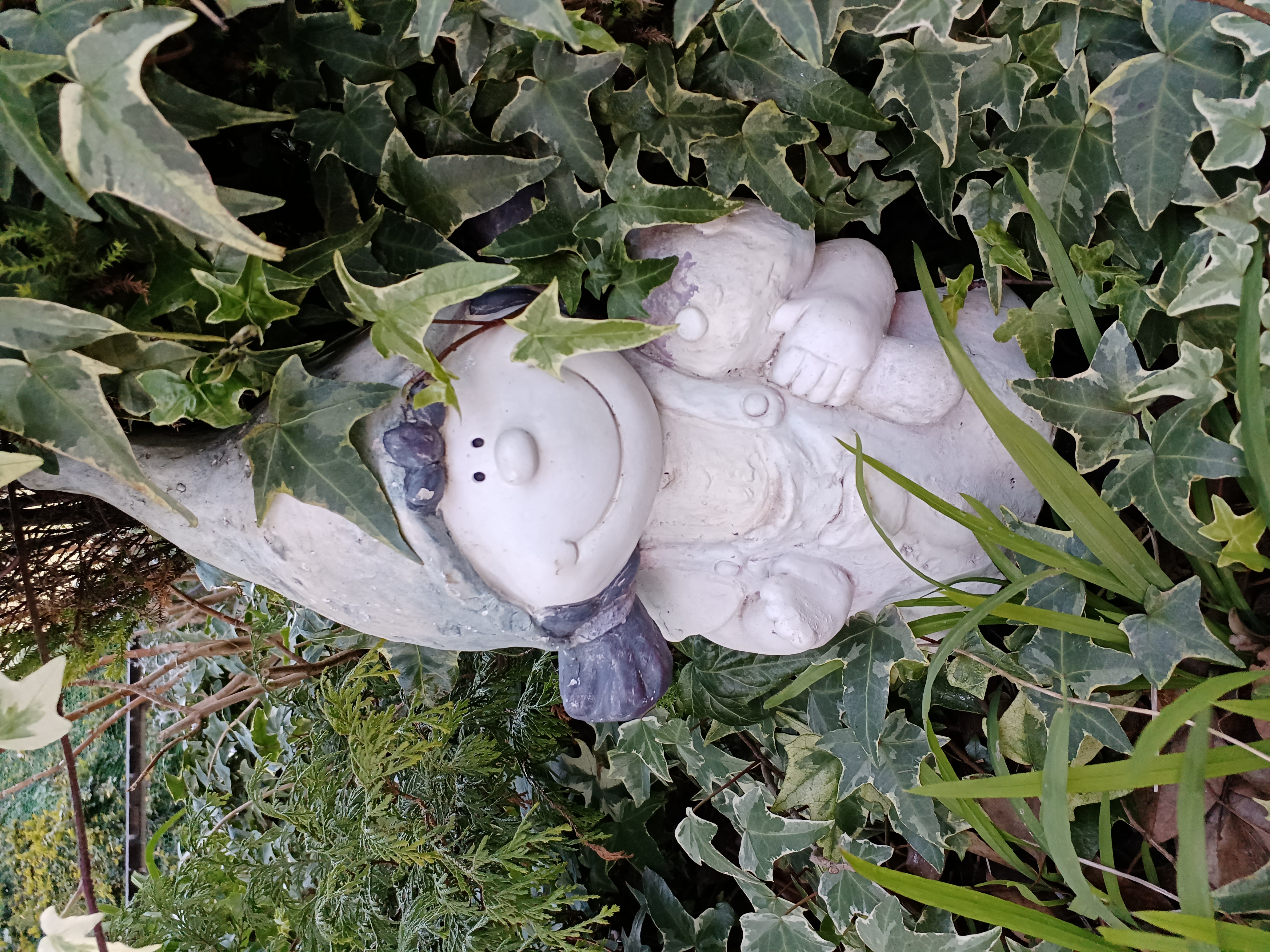 ポートレートモードで撮影