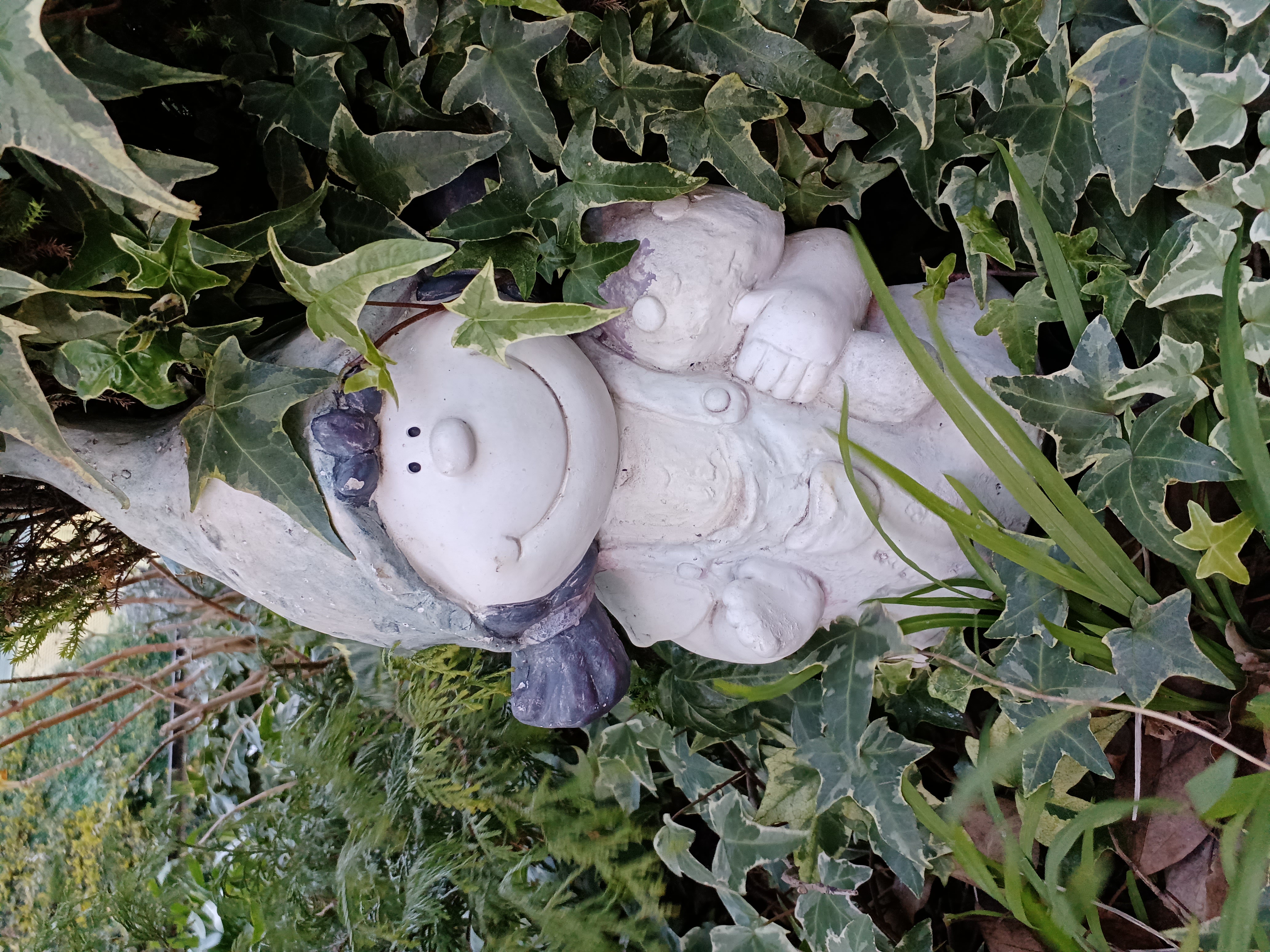 ポートレートモードで撮影