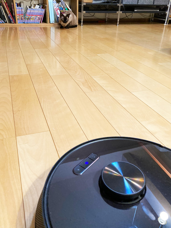 ルンバは平気だったのに「Eufy RoboVac X8」のことはやけに警戒する我が家の猫。AI搭載が警戒心を生んだのでしょうか……